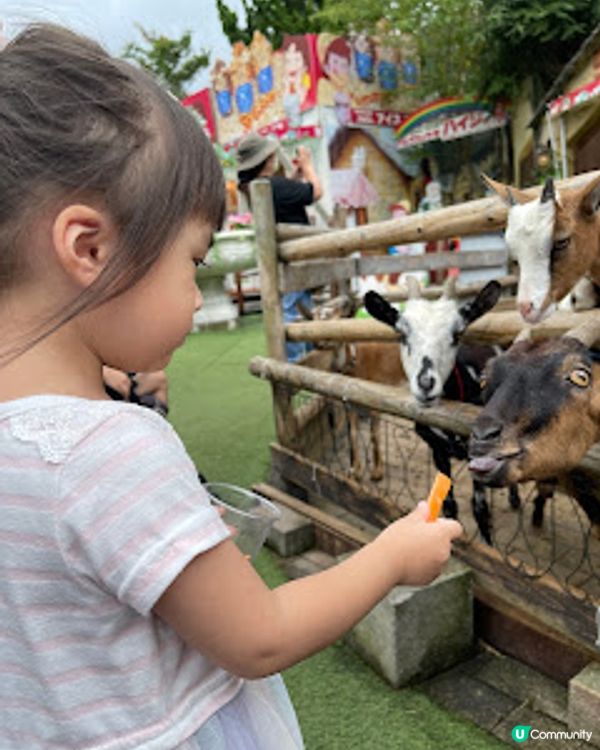 日本九州大分親子一日團｜太宰府天滿宮 ｜湯布院小鎮｜別府空中纜車｜灶地獄｜最新2023年｜8日7夜日本福岡親子自由行（非自駕）