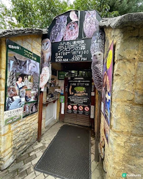 日本九州大分親子一日團｜太宰府天滿宮 ｜湯布院小鎮｜別府空中纜車｜灶地獄｜最新2023年｜8日7夜日本福岡親子自由行（非自駕）