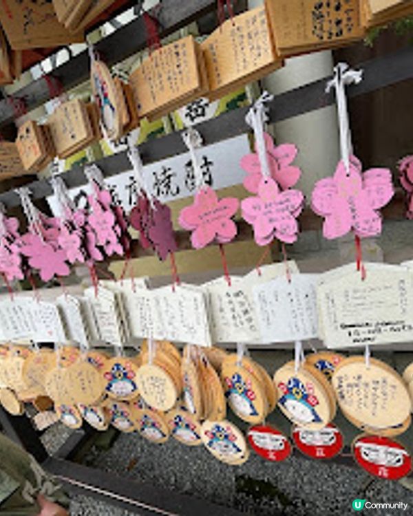 日本九州熊本親子一日團｜季節水果吃到飽｜熊本城｜中岳火山｜草千里｜最新2023年｜8日7夜日本福岡親子自由行（非自駕）
