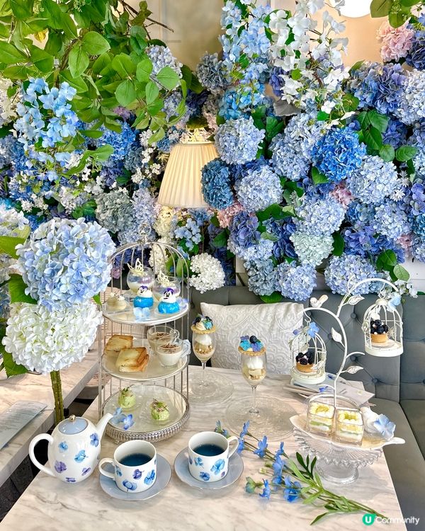 🦋好難預約｜藍色繡球花high tea｜人氣打卡cafe💙