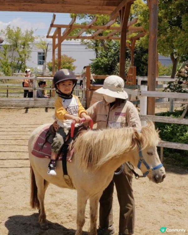 【 近距離親親小動物。神戶動物王國 】