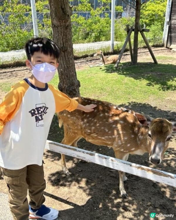 【 近距離親親小動物。神戶動物王國 】