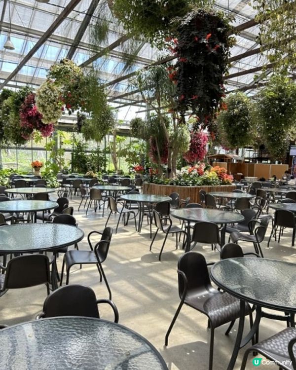 【 近距離親親小動物。神戶動物王國 】