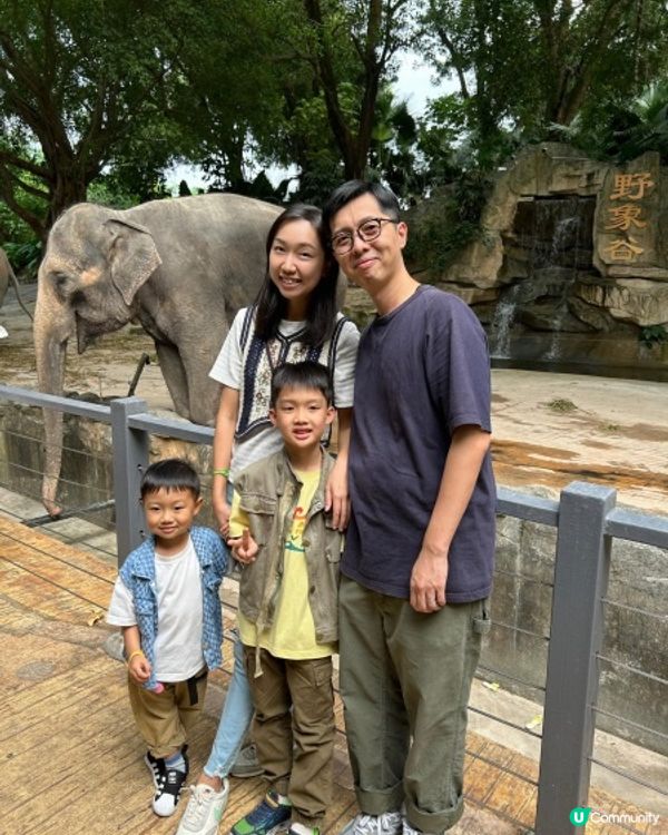 【 筍崗玩樂一天遊。體驗兒童版室内卡丁車 】