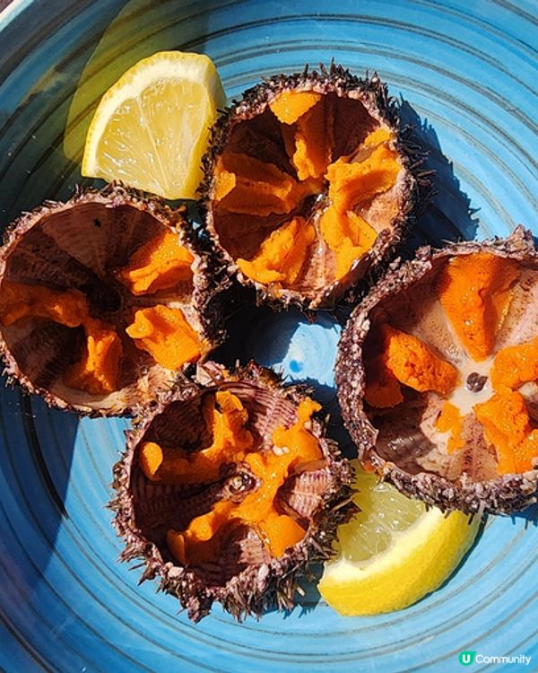 2023Sep東北+海参崴