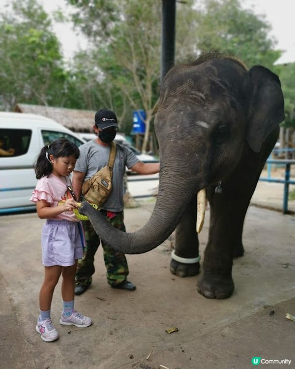 2023 布吉之旅 @Day 3 (0717) - 布吉大佛 . Mountain Breeze Cafe . Thavorn Beach Village Resort . Banzaan Fresh