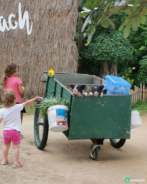 2023 布吉之旅 @Day 4 (0718) - 酒店泳池悠遊 . Robinson Department Store Jungceylon