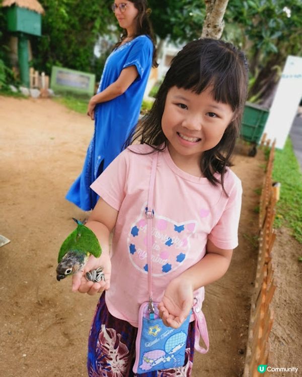 2023 布吉之旅 @Day 4 (0718) - 酒店泳池悠遊 . Robinson Department Store Jungceylon