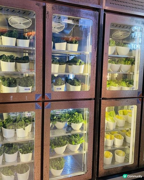 凍冰冰，適合打邊爐