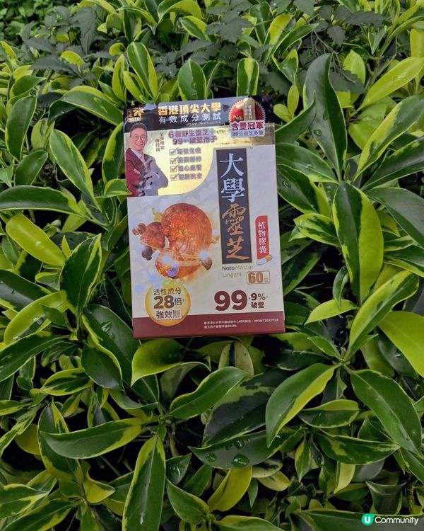 【靈芝功效多，我揀咗呢隻食，調理好體質之餘仲抗疲勞！】