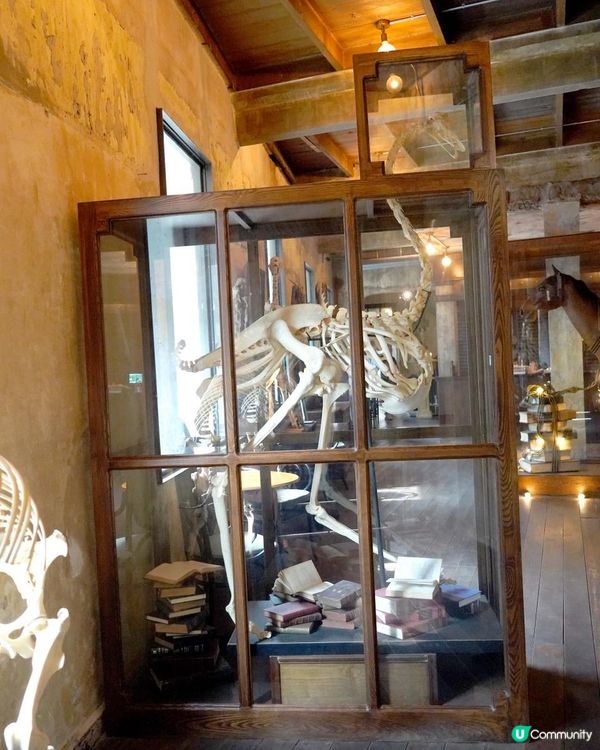 曼谷唐人街最新最潮打卡酒店+CAFE【the Mustang Blu】超多打卡位+超靚美食咖啡介紹