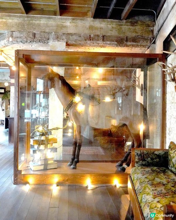 曼谷唐人街最新最潮打卡酒店+CAFE【the Mustang Blu】超多打卡位+超靚美食咖啡介紹