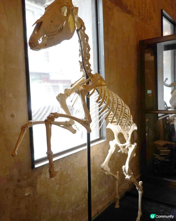 曼谷唐人街最新最潮打卡酒店+CAFE【the Mustang Blu】超多打卡位+超靚美食咖啡介紹