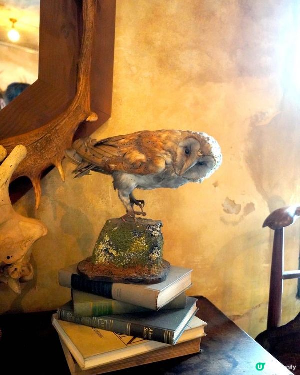 曼谷唐人街最新最潮打卡酒店+CAFE【the Mustang Blu】超多打卡位+超靚美食咖啡介紹