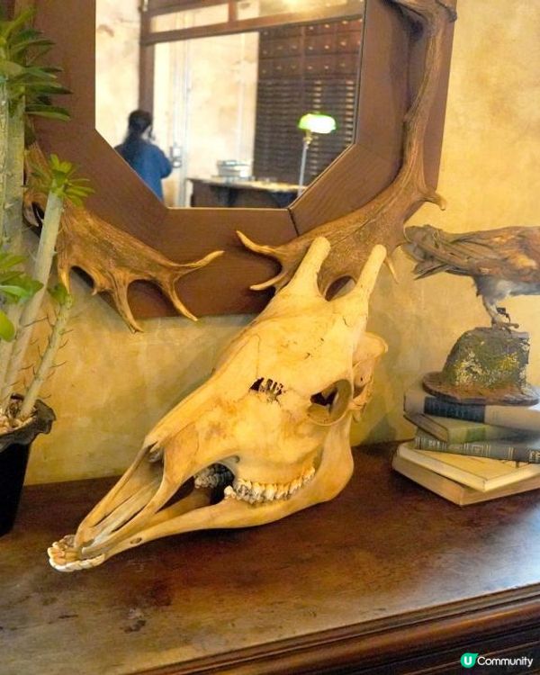 曼谷唐人街最新最潮打卡酒店+CAFE【the Mustang Blu】超多打卡位+超靚美食咖啡介紹