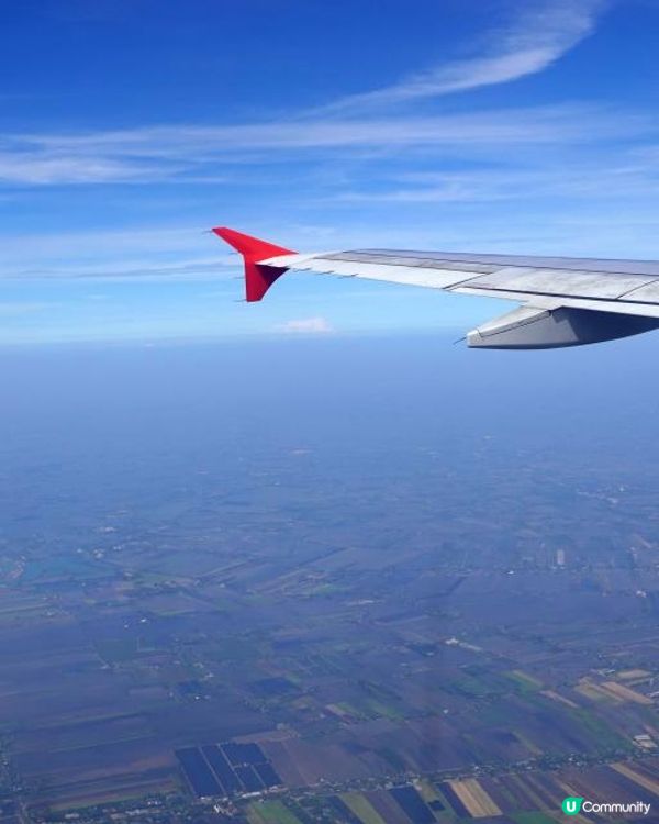 【泰國食買玩2023】隱世紫菊花海❤️農莊Flower Farm｜💥清邁特色雙線車體驗｜😍河畔露營尖頂小白屋Glamping｜泰北風味燒烤火鍋｜窮遊達人EP.7｜4K中文字幕｜Chiang Mai