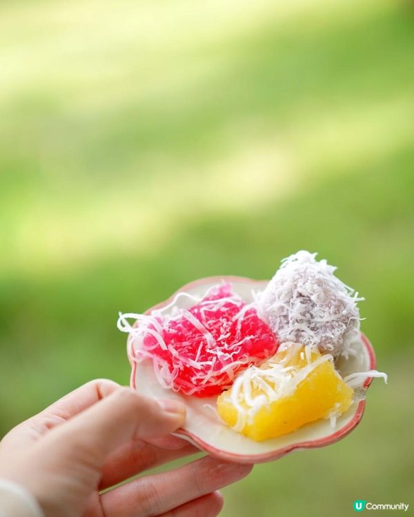 【泰國食買玩2023】隱世紫菊花海❤️農莊Flower Farm｜💥清邁特色雙線車體驗｜😍河畔露營尖頂小白屋Glamping｜泰北風味燒烤火鍋｜窮遊達人EP.7｜4K中文字幕｜Chiang Mai