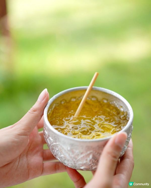 【泰國食買玩2023】隱世紫菊花海❤️農莊Flower Farm｜💥清邁特色雙線車體驗｜😍河畔露營尖頂小白屋Glamping｜泰北風味燒烤火鍋｜窮遊達人EP.7｜4K中文字幕｜Chiang Mai