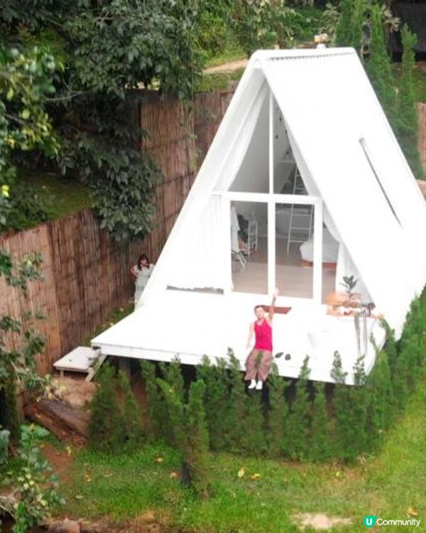 【泰國食買玩2023】隱世紫菊花海❤️農莊Flower Farm｜💥清邁特色雙線車體驗｜😍河畔露營尖頂小白屋Glamping｜泰北風味燒烤火鍋｜窮遊達人EP.7｜4K中文字幕｜Chiang Mai