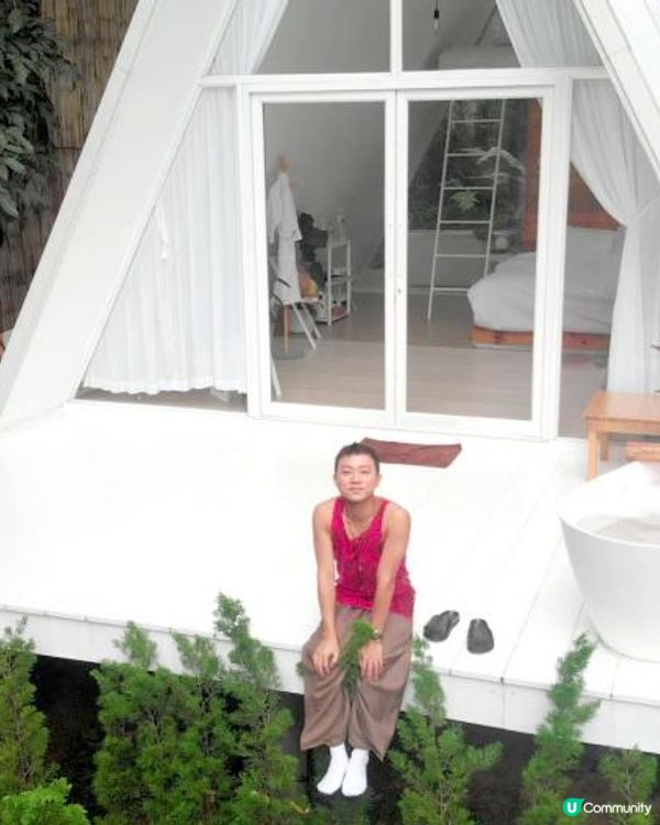 【泰國食買玩2023】隱世紫菊花海❤️農莊Flower Farm｜💥清邁特色雙線車體驗｜😍河畔露營尖頂小白屋Glamping｜泰北風味燒烤火鍋｜窮遊達人EP.7｜4K中文字幕｜Chiang Mai