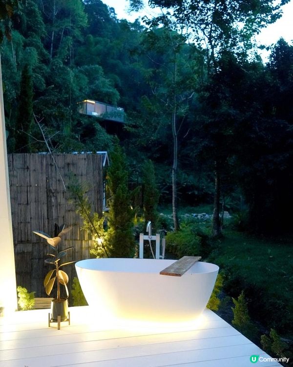 【泰國食買玩2023】隱世紫菊花海❤️農莊Flower Farm｜💥清邁特色雙線車體驗｜😍河畔露營尖頂小白屋Glamping｜泰北風味燒烤火鍋｜窮遊達人EP.7｜4K中文字幕｜Chiang Mai