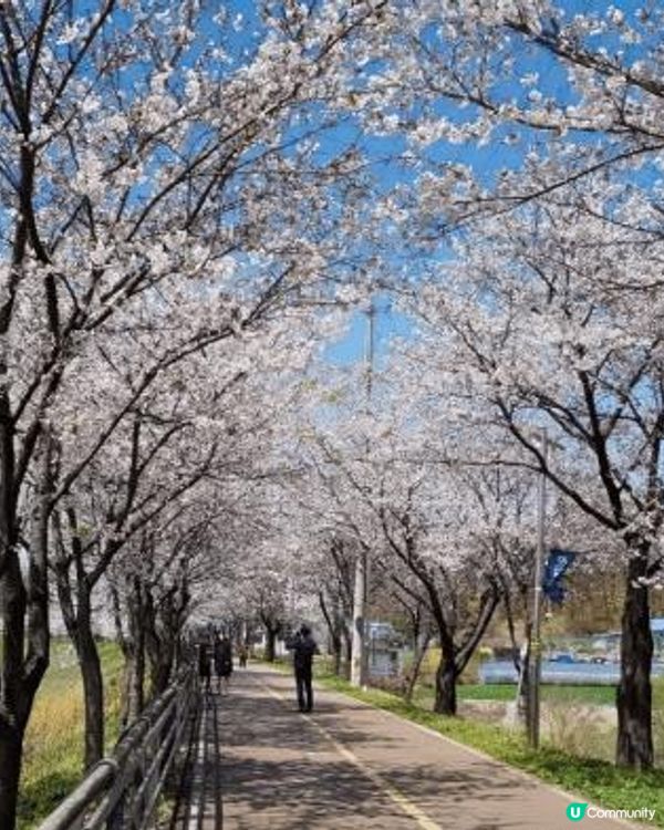 【2023請假攻略】老闆！我想出國！2023把握連假這樣玩