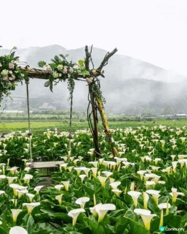 【2023請假攻略】老闆！我想出國！2023把握連假這樣玩