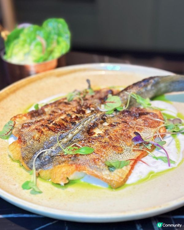 💃銅鑼灣高質華麗晚餐💫