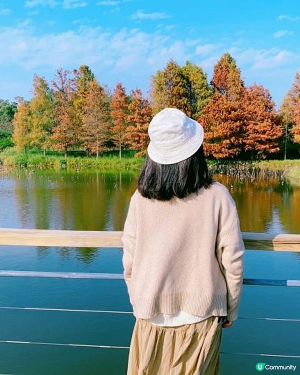 香港濕地公園 絕美天空之鏡