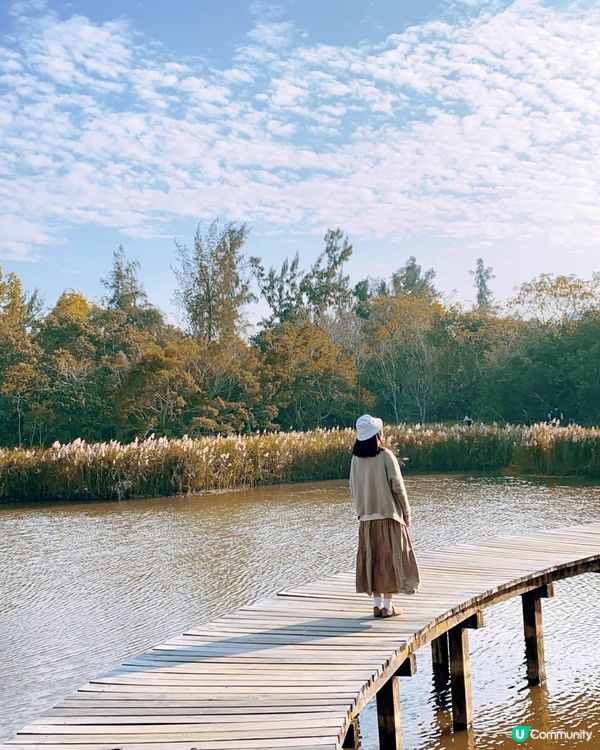 香港濕地公園 絕美天空之鏡