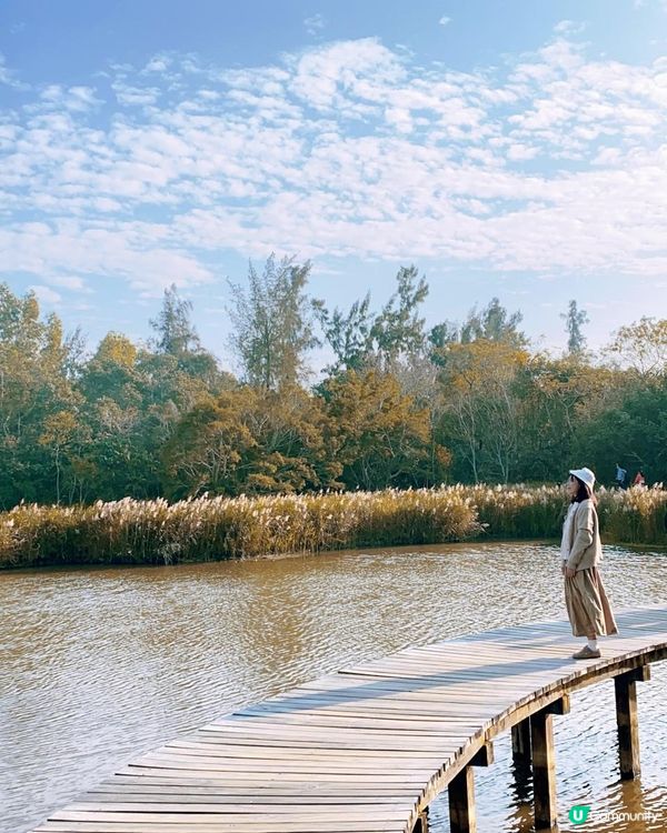 香港濕地公園 絕美天空之鏡