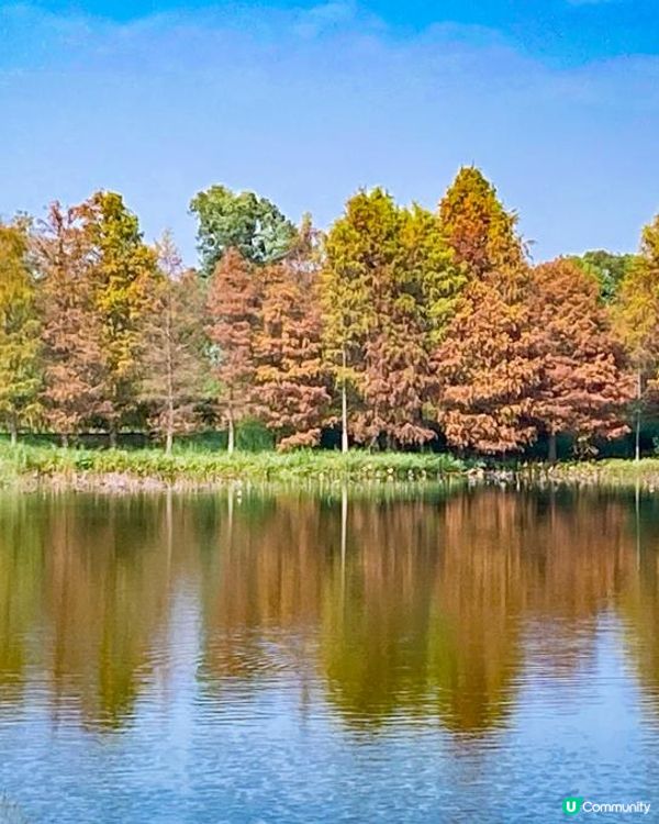 香港濕地公園 絕美天空之鏡