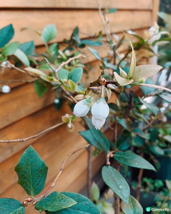 到處遊玩/波波吹氣觀星營 兩手空空去渡假