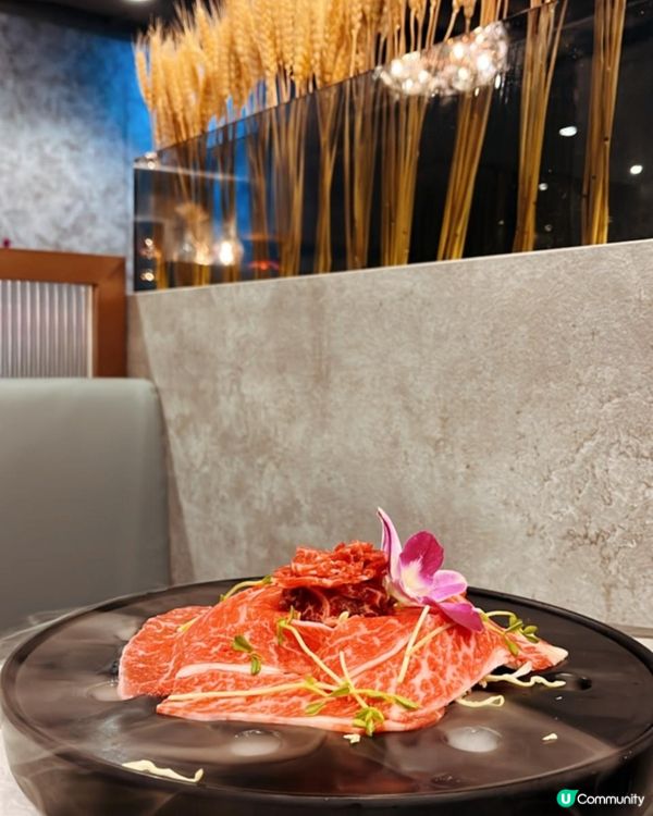 好「味火鍋」之選