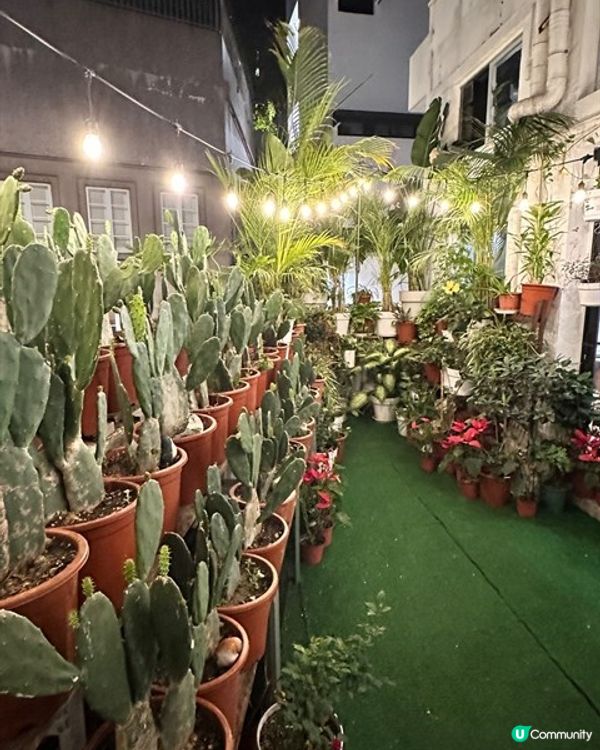 慢活🇲🇽墨西哥渡假風餐廳