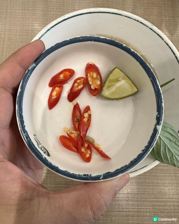 抵食越南河