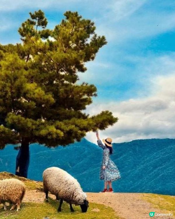 全台避暑景點推薦》別只待在家吹冷氣！激推5大天然消暑勝地