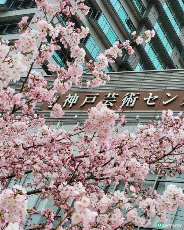 Day 4: 神戶一天遊 行了兩次山