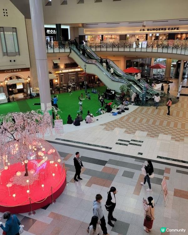 Day 4: 神戶一天遊 行了兩次山