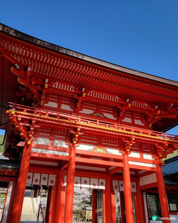 Day 12: 續遊琵琶湖 再享近江牛