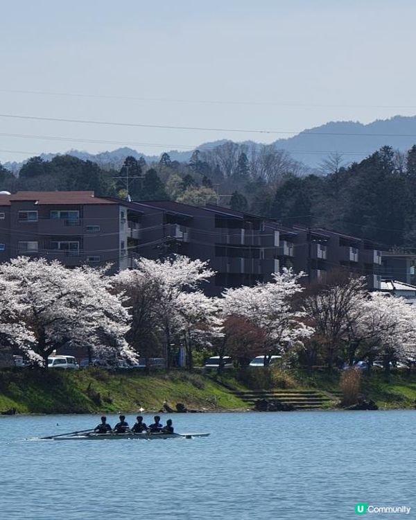Day 12: 續遊琵琶湖 再享近江牛