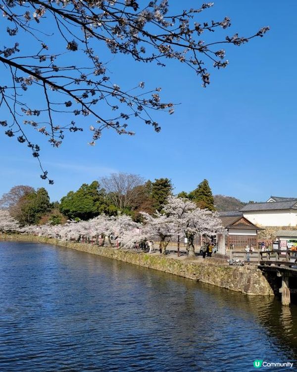 Day 12: 續遊琵琶湖 再享近江牛