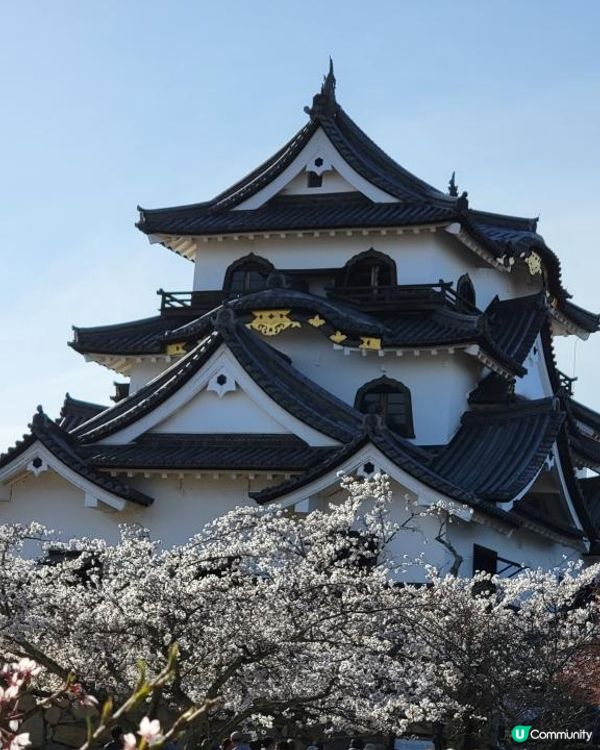 Day 12: 續遊琵琶湖 再享近江牛