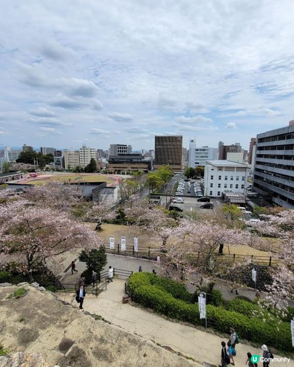 Day 19: 向東遊静岡県 但不是這樣去東京