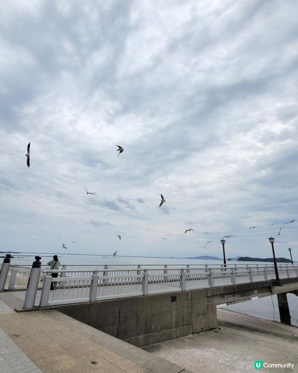 Day 19: 向東遊静岡県 但不是這樣去東京
