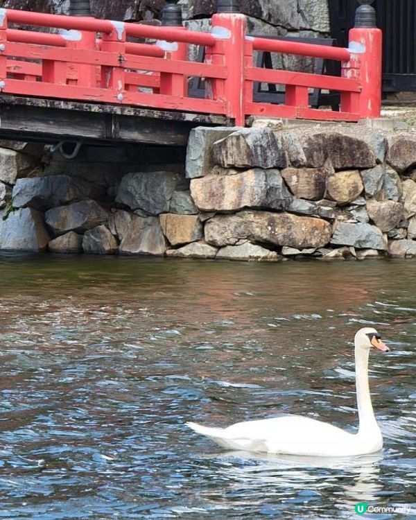 Day 20: 五大國寶名城最後一個