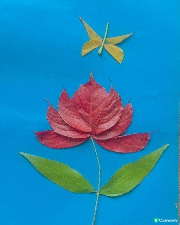 【親子手工】用樹葉DIY花朵