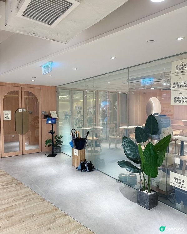 【貓貓控必去.無入場費貓Cafe🐈】