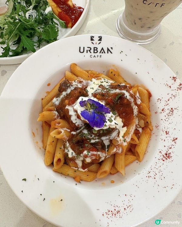 【貓貓控必去.無入場費貓Cafe🐈】