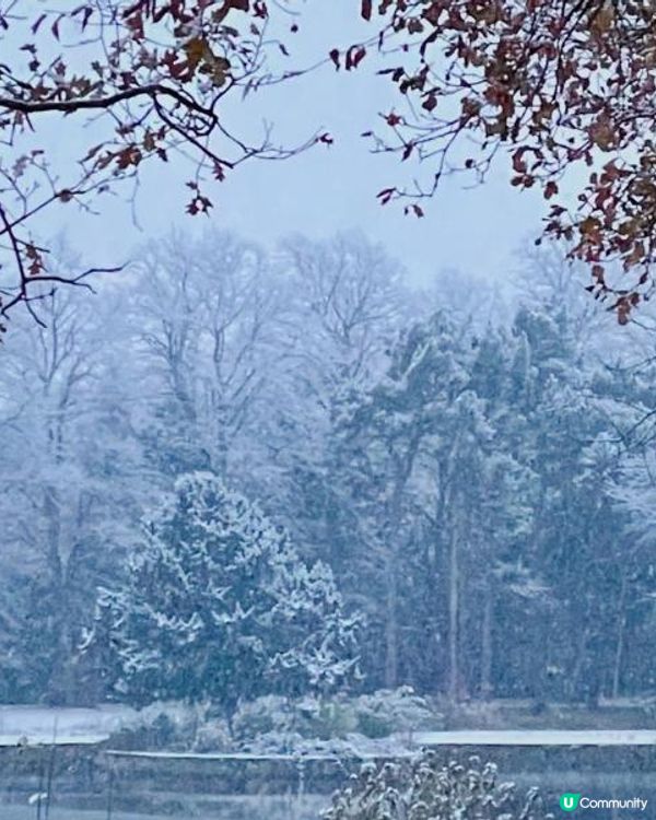 欣賞英國雪後仙境